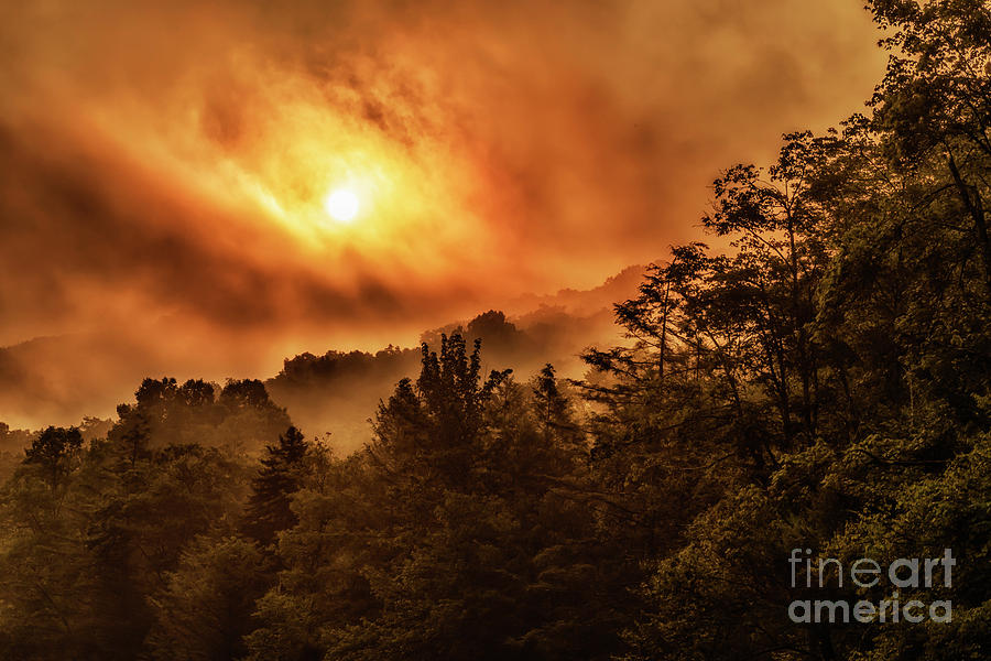 Foggy Sunrise Monongahela National Forest Photograph by Thomas R Fletcher