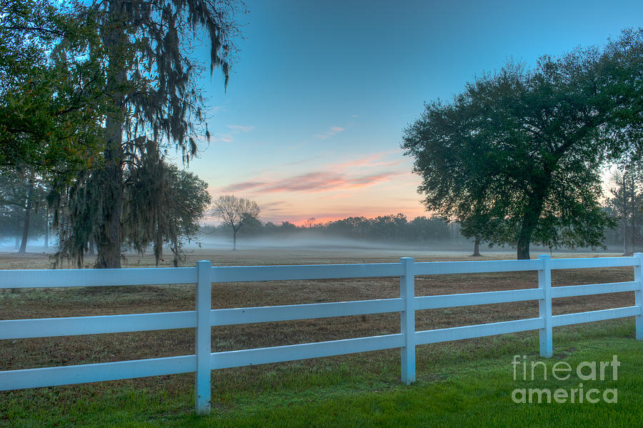 Foggy Sunrise off Highway 41 Photograph by Dale Powell