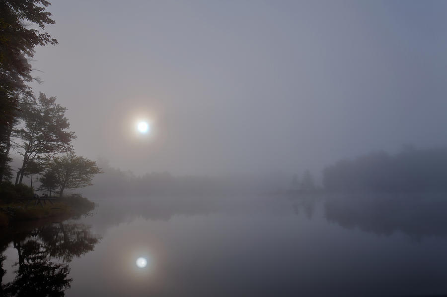 Foggy Sunrise on West Lake Photograph by David Patterson