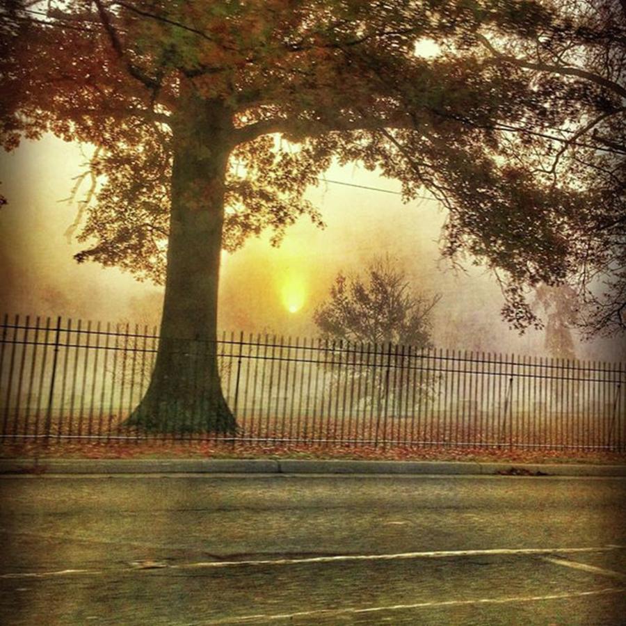Foggy Sunrise Photograph by Phunny Phace