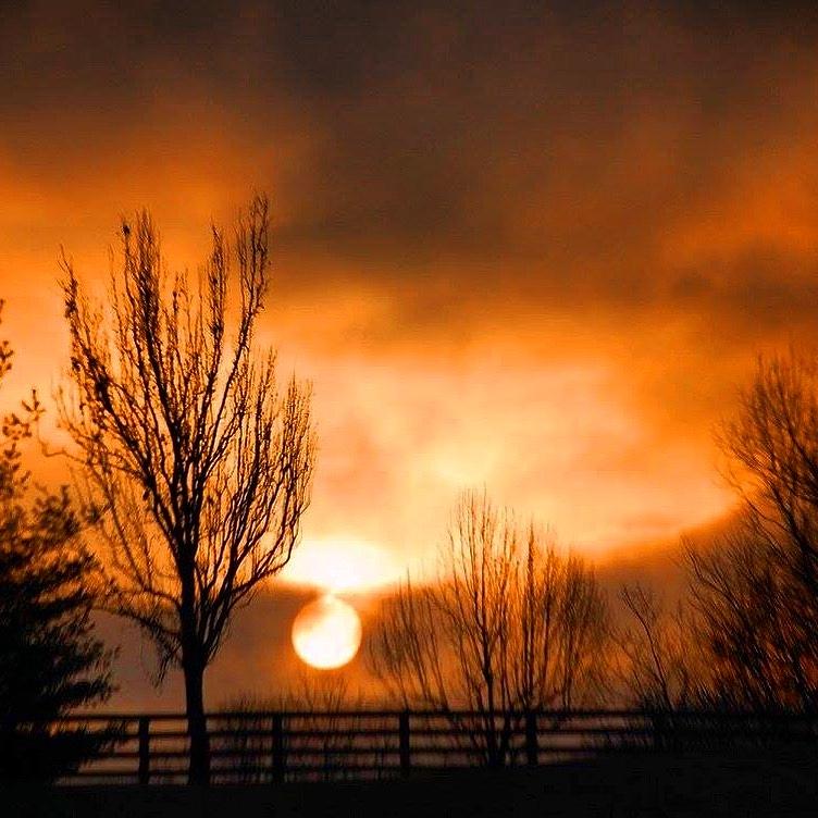 Foggy Sunrise Photograph by Sumoflam Photography