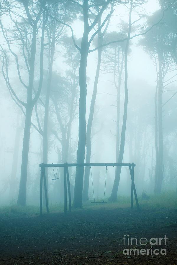 Rope Photograph - Foggy Swing by Carlos Caetano