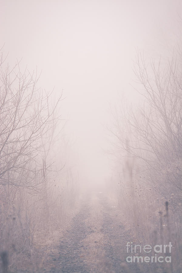 Foggy Trail Photograph by Cheryl Baxter