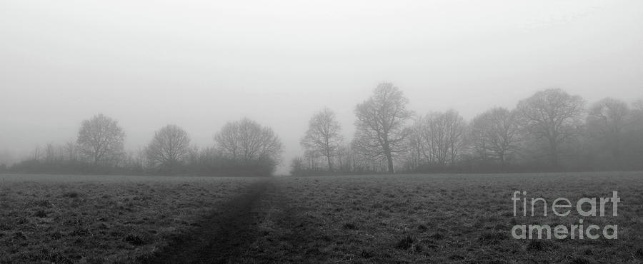Foggy treeline Photograph by Julia Gavin