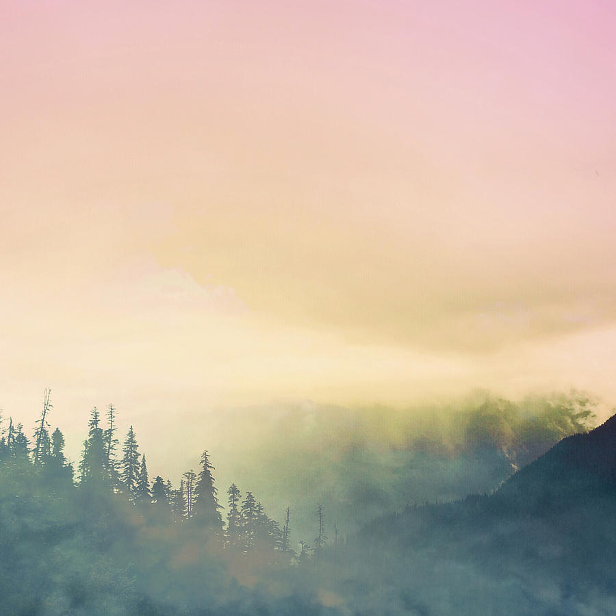 Mountain Photograph - Foggy treeline by Squashyead