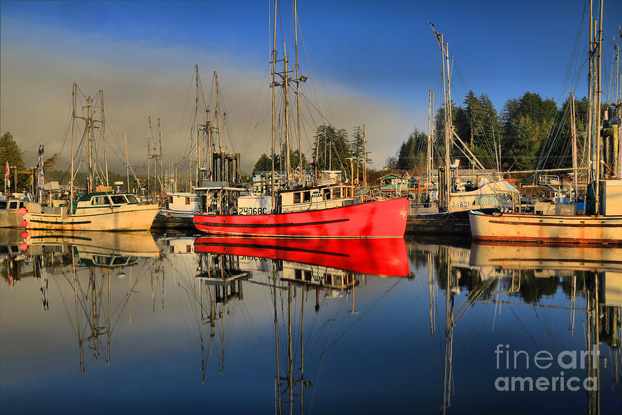 Foggy Ucluelet Port Photograph by Adam Jewell