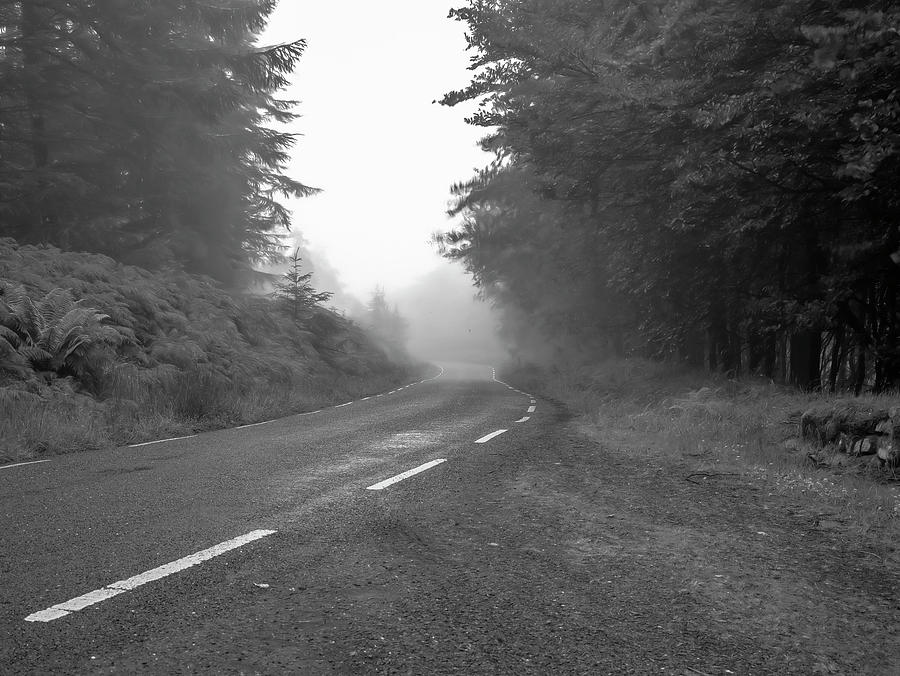 foggy way  BW Photograph by Leif Sohlman