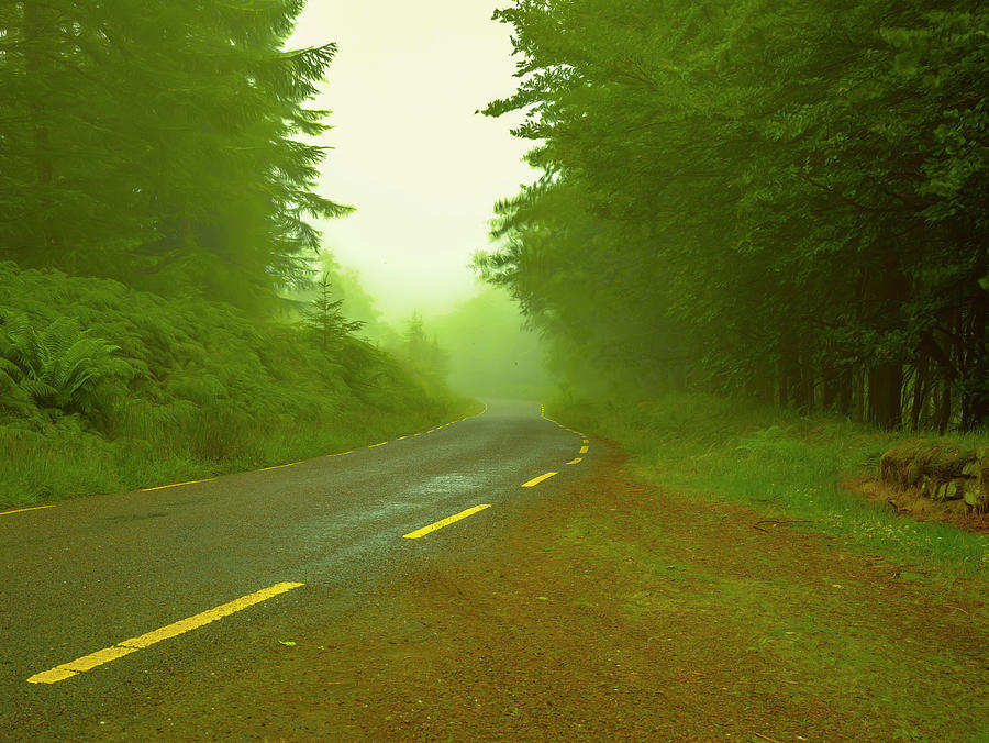 Foggy Way.  Photograph by Leif Sohlman