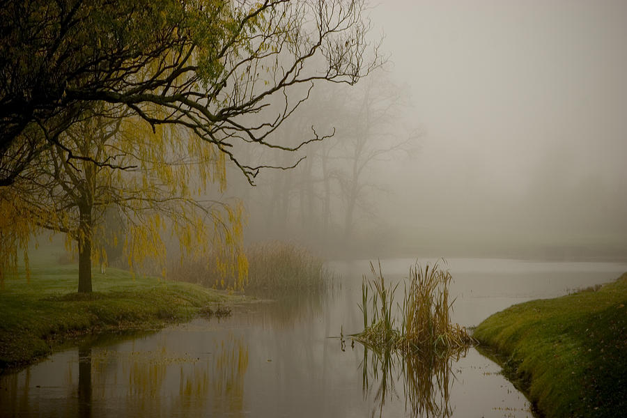 Foggy Wetland Photograph by Jack Foley | Fine Art America