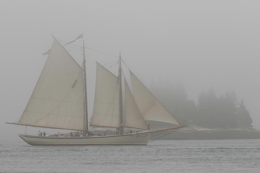 Foggy Windjammer Photograph by Colin Chase
