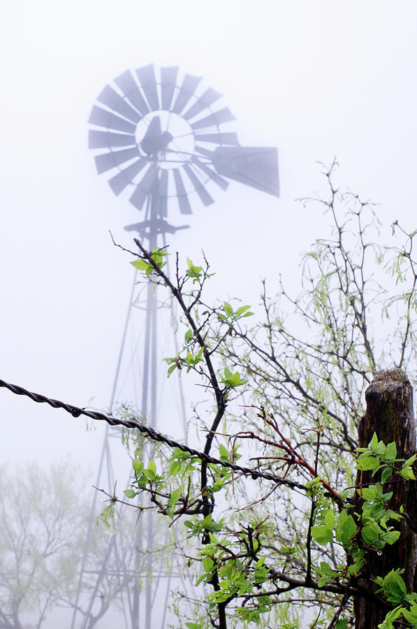Foggy Windmill Photograph by Adam Reinhart