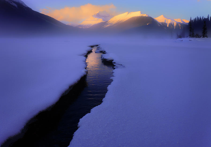Foggy Winter Days in Banff Photograph by Dan Jurak