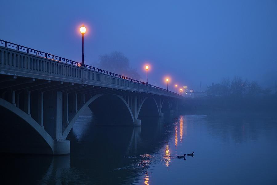 Foggy winter morning Photograph by Lynn Hopwood