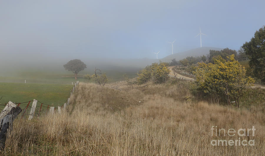 Foggy Winter Rural Landscape And Carcoar Blayney Wind Farm Photograph