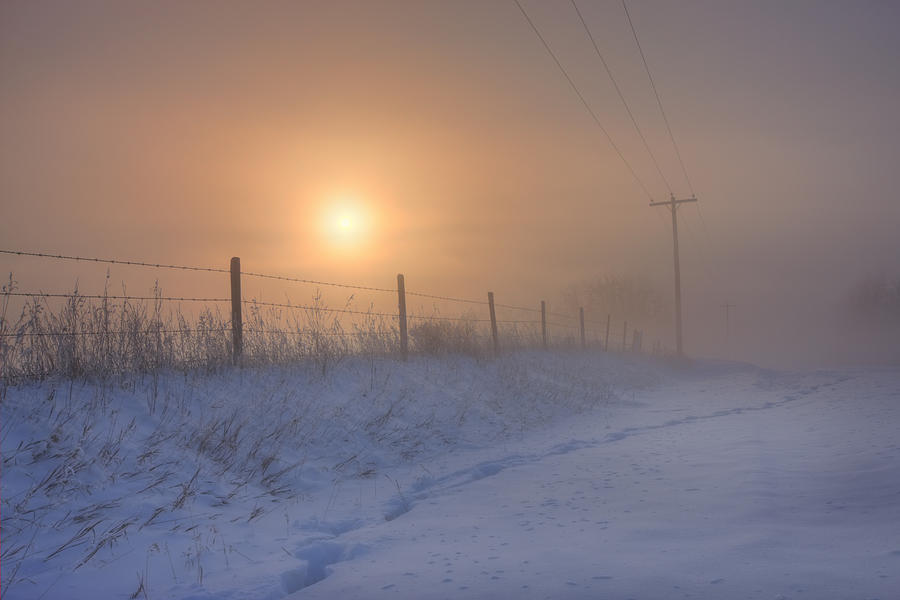 Foggy Winter Sunrise Over Barbed Wire Photograph by Dan Jurak