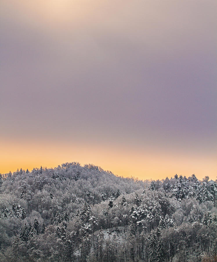 Winter Photograph - Foggy winter sunrise. by Vyacheslav Isaev