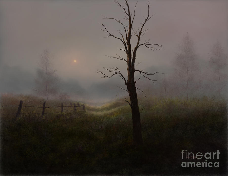 Foggy Woods Painting by Sena Wilson