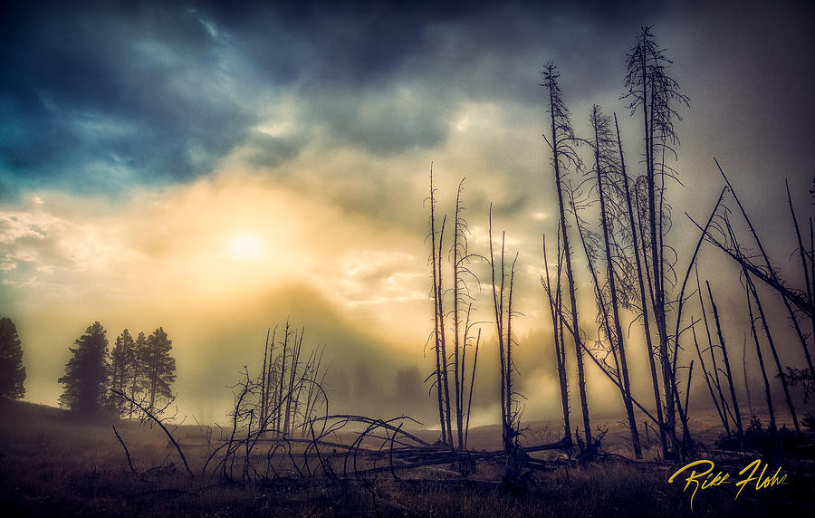 Foggy Yellowstone Valley Photograph by Rikk Flohr
