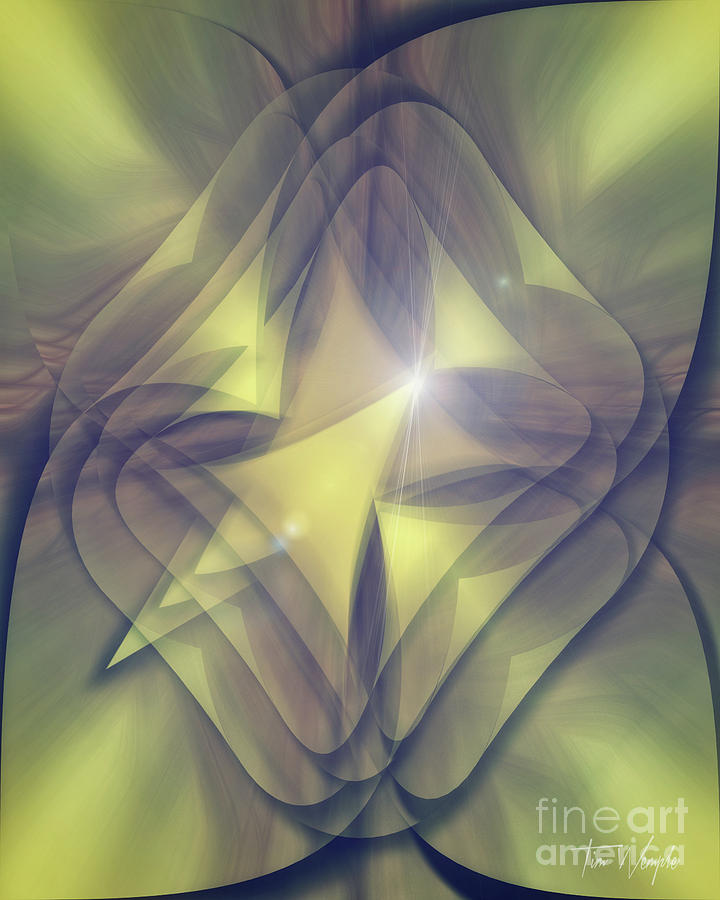 Abstract Digital Art - Folded Flower 1 by Tim Wemple