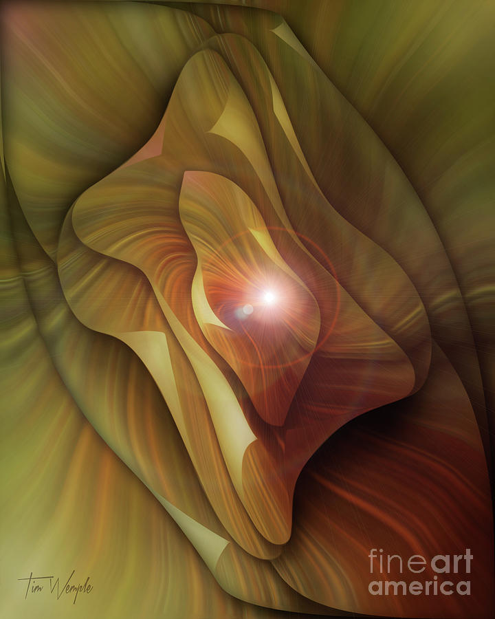 Folded Flower 3 Digital Art by Tim Wemple