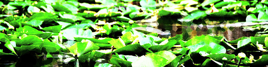 Folded Leaves by Simone Hester Folded Leaves by Simone Hester