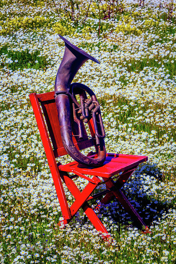 Folding Chair With Horn Photograph by Garry Gay