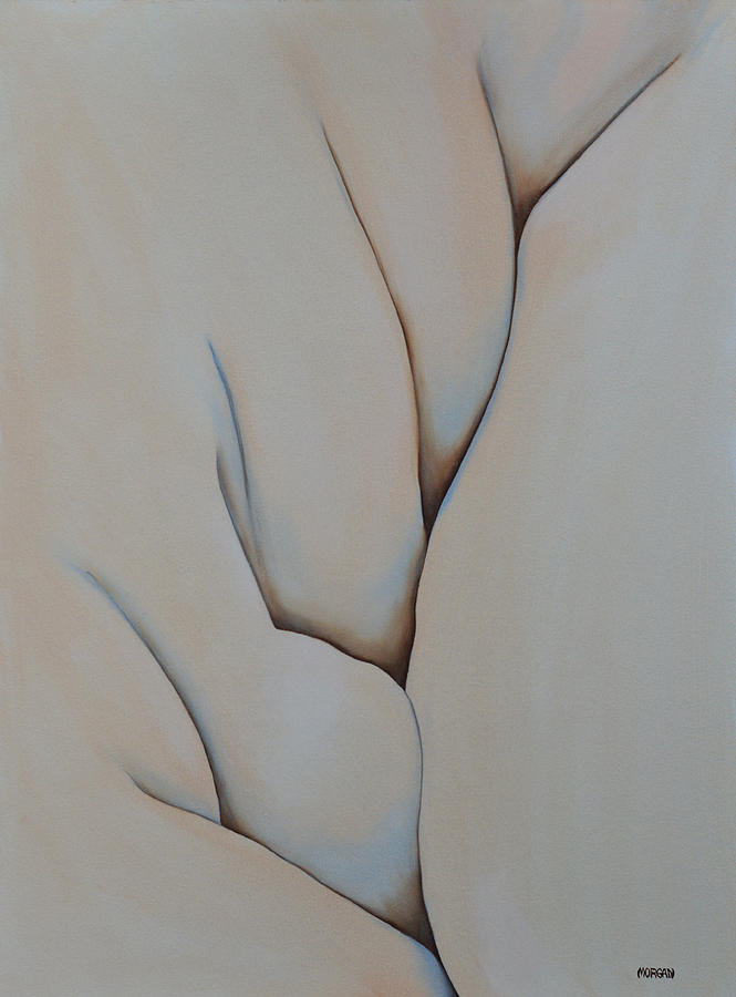 Folds Painting by Tom Morgan