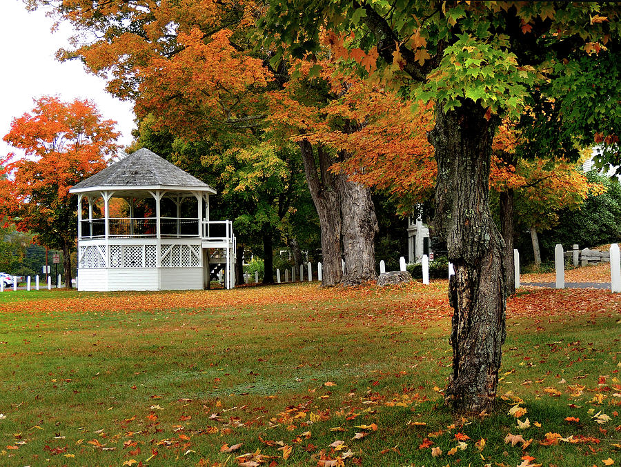 Foliage by the bandstand in Wentworth Photograph by Nancy Griswold