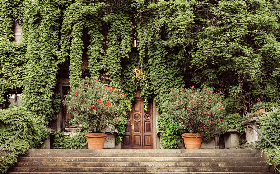 Foliage covered building Photograph by Alexandre Rotenberg - Fine Art ...