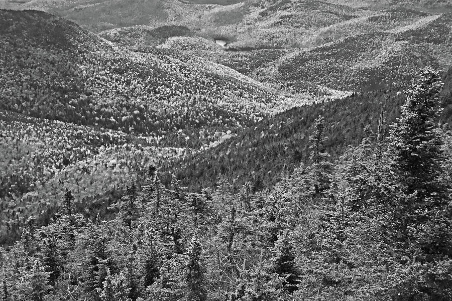 Foliage Covered Mountainscape Keene Valley Adirondacks New York Black and White Photograph by Toby McGuire