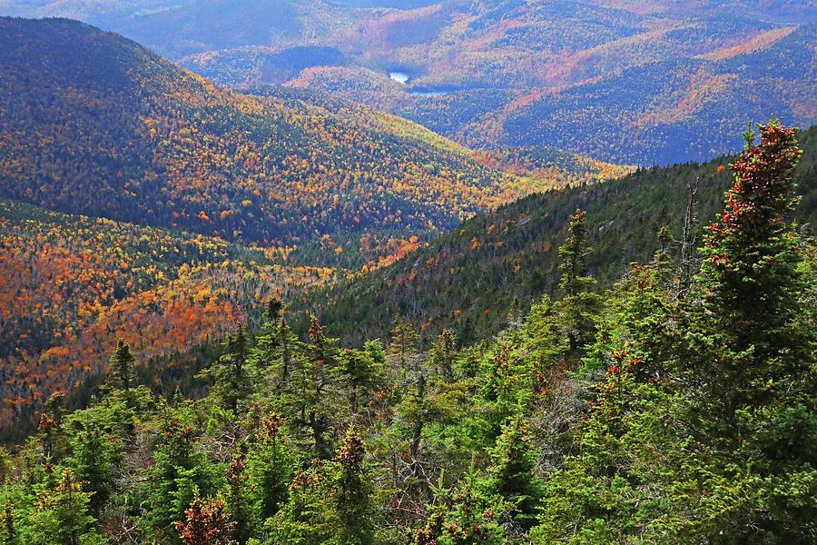 Foliage Covered Mountainscape Keene Valley Adirondacks New York Photograph by Toby McGuire