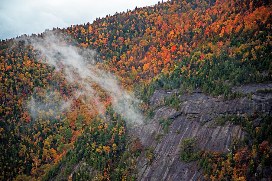 Foliage Covered Mountainside from Giant Mountain Keene Valley Adirondacks Photograph by Toby McGuire
