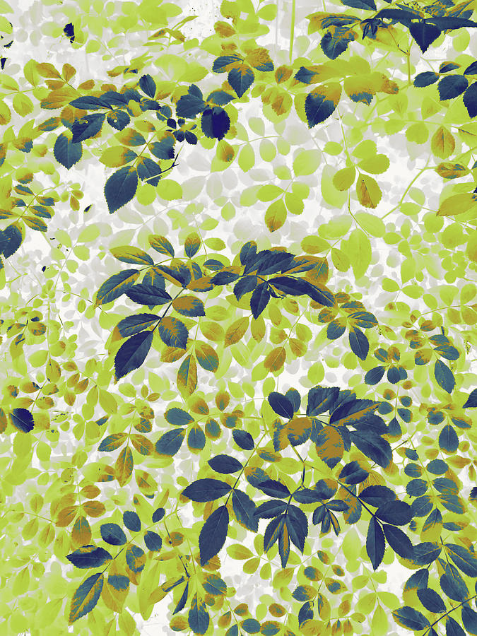 Foliage Hues - Green Blue and White Digital Art by Shawna Rowe