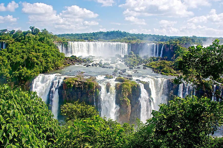 Foliage in and Around Waterfalls in Iguazu Falls National Park-Brazil ...