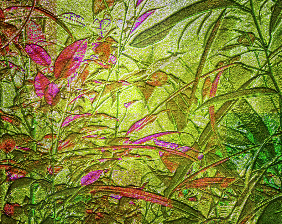 Foliage Digital Art by Mimulux Patricia No