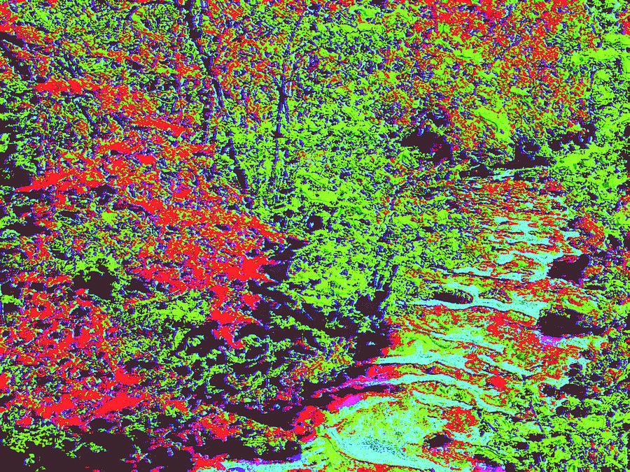 Foliage Stream d4 Digital Art by Modified Image