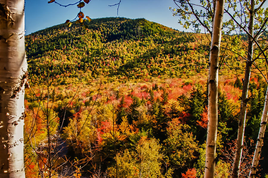 Foliage View from Crawford Notch road Photograph by Jeff Folger