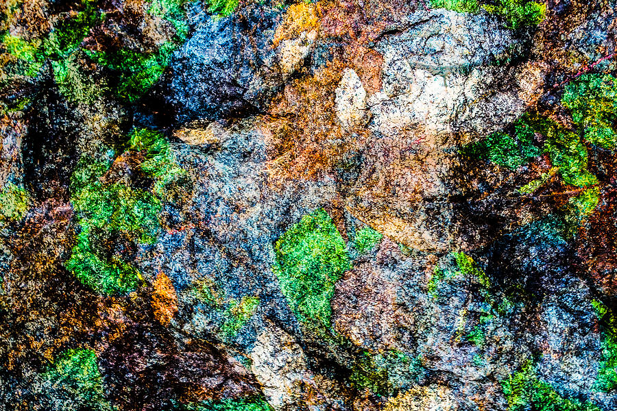 Foliated Granite Photograph by SR Green