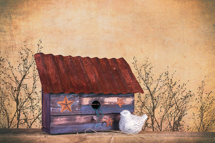 Still Life Photograph - Folk Art Birdhouse Still Life by Tom Mc Nemar