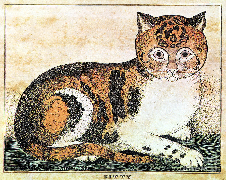Folk Art: Cat Photograph by Granger