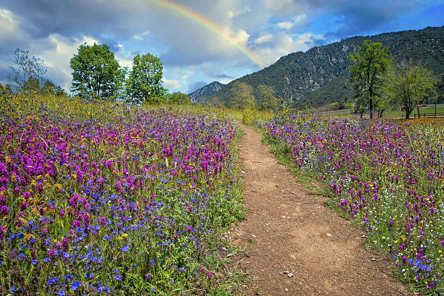 Follow Every Rainbow Photograph by Lynn Bauer