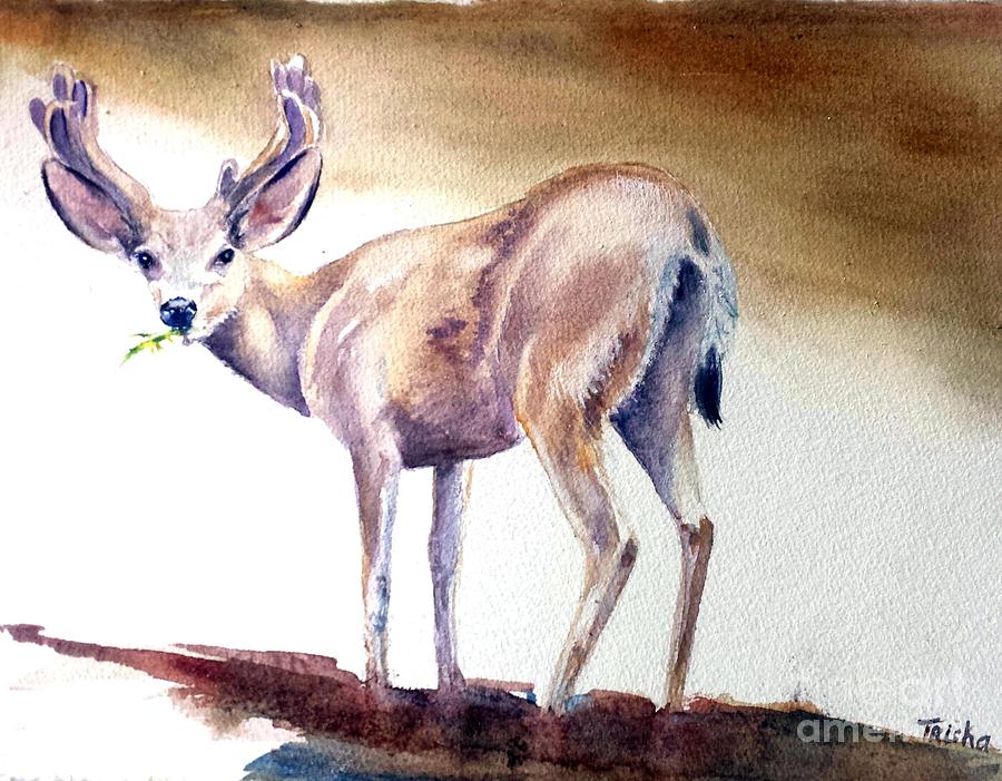 Deer Painting - Follow Me by Patricia Pushaw