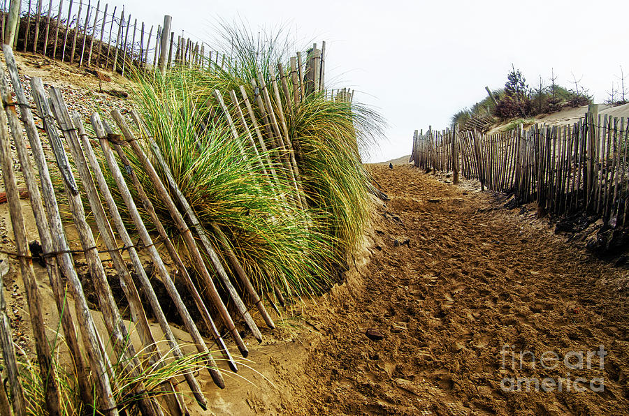 Follow me by Spade Photo Follow me by Spade Photo