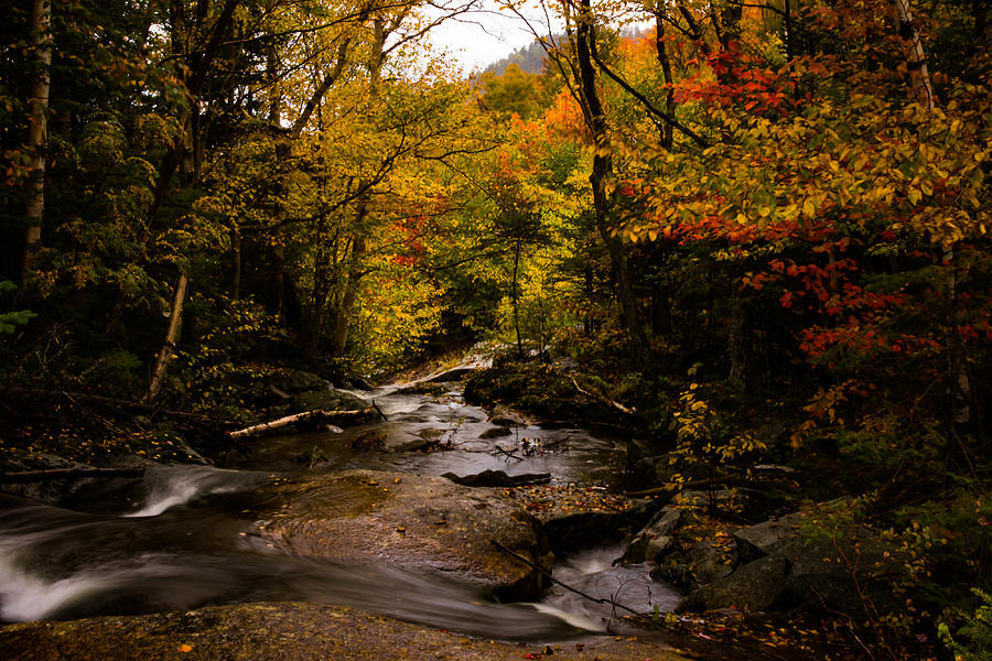Fall Photograph - Follow the fall foliage down by Jeff Folger