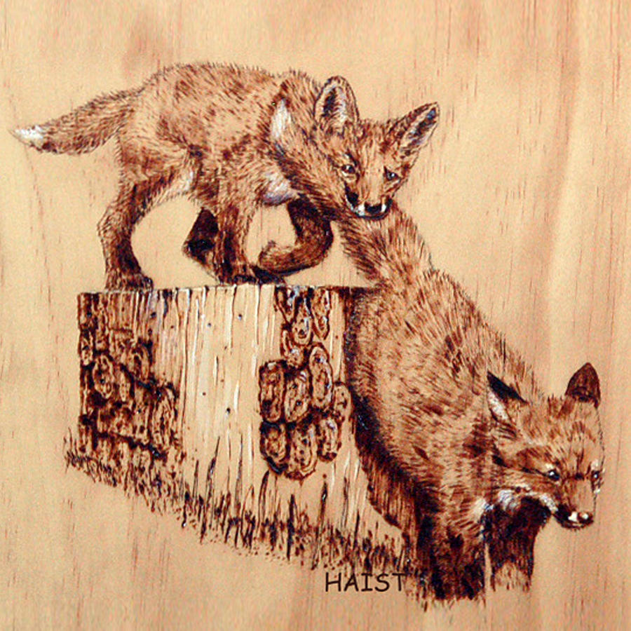 Follow the Leader Pillow/ bag Pyrography by Ron Haist