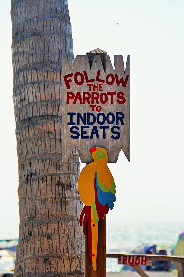 Follow the Parrots Photograph by Michiale Schneider