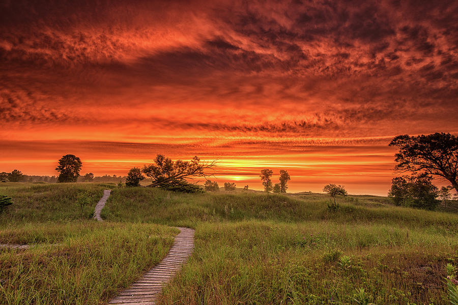 Follow the path by Edward Deiro Follow the path by Edward Deiro