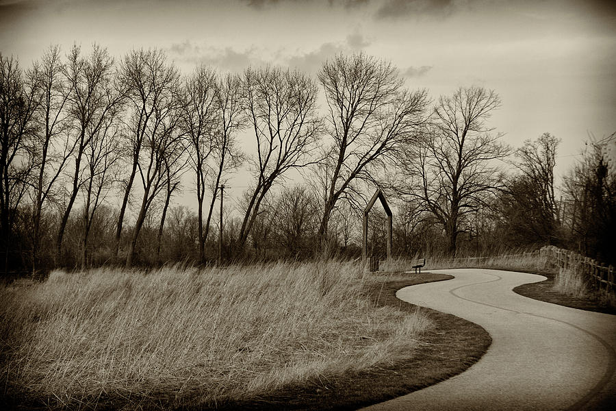 Follow the path Photograph by Elvira Butler