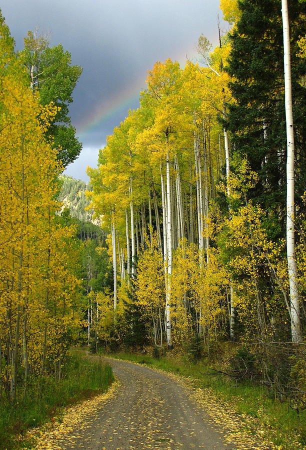 Follow the Rainbow to Colorado Gold Photograph by Carol Milisen