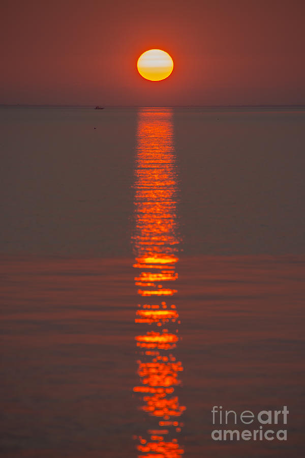 Follow the Sunset Photograph by Cheryl Baxter